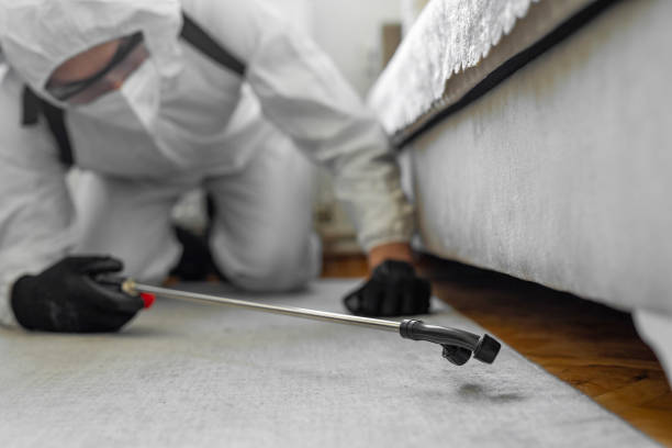 Professional Cockroach Control technician working in Manila, AR